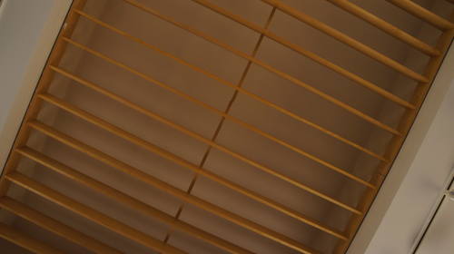 Mnohaya'lita Exhibit Lyceum 3D Synth Photographs (1619)