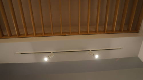 Mnohaya'lita Exhibit Lyceum 3D Synth Photographs (1724)