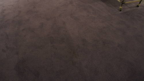 Mnohaya'lita Exhibit Lyceum 3D Synth Photographs (1777)
